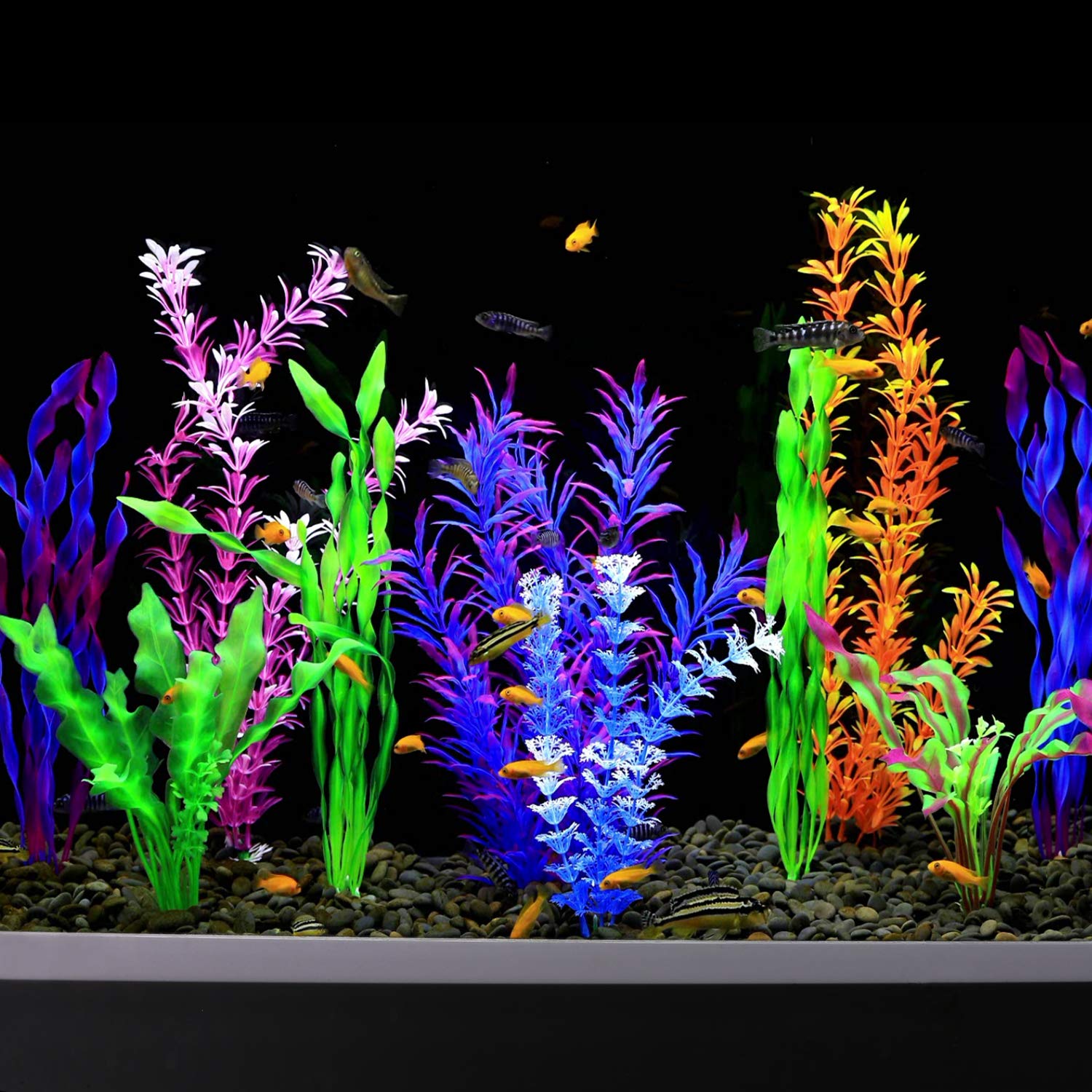 MyLifeUNIT plantas de acuario aptas para agua dulce y salada.
