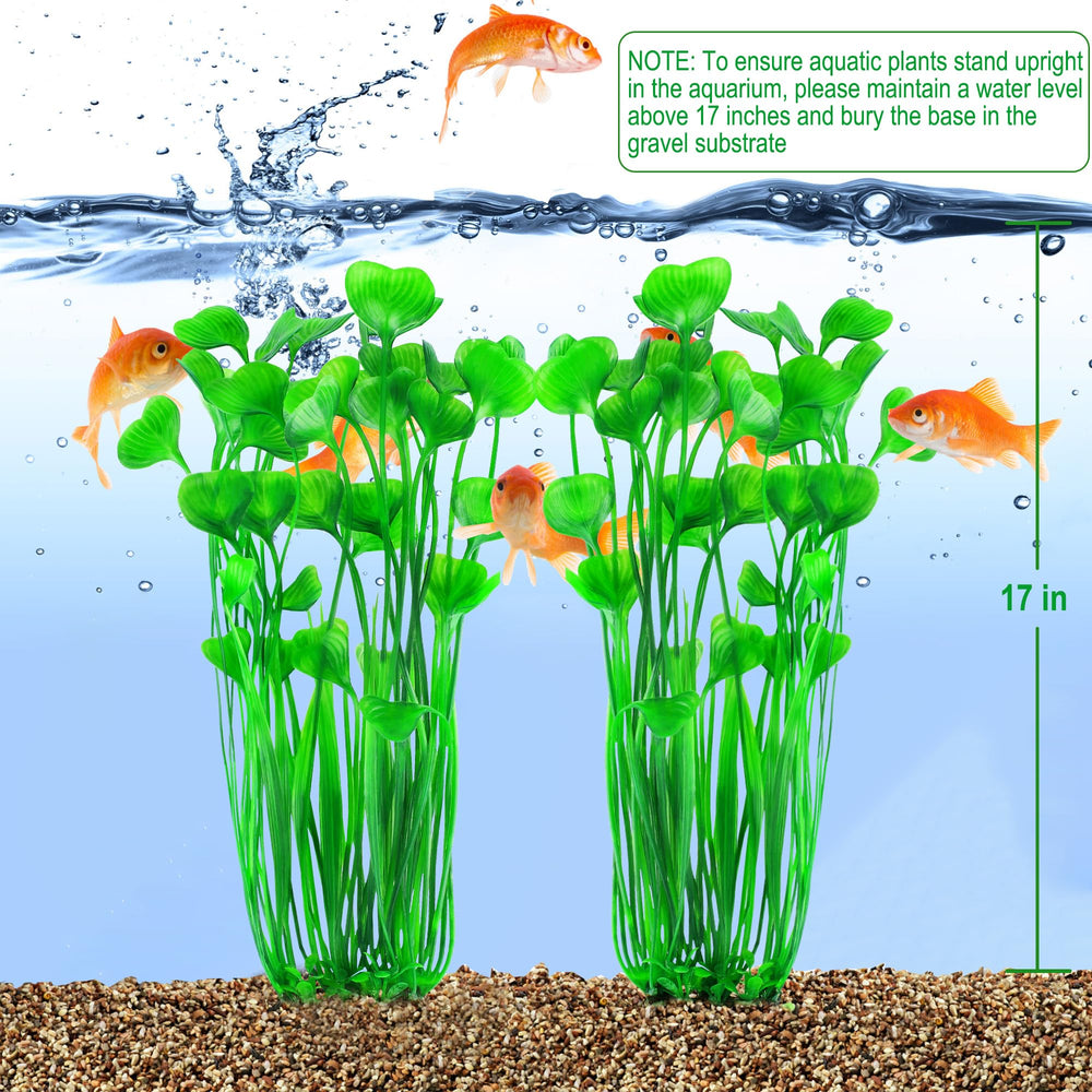 MyLifeUNIT care tip: soak deformed arrived plants in warm water.