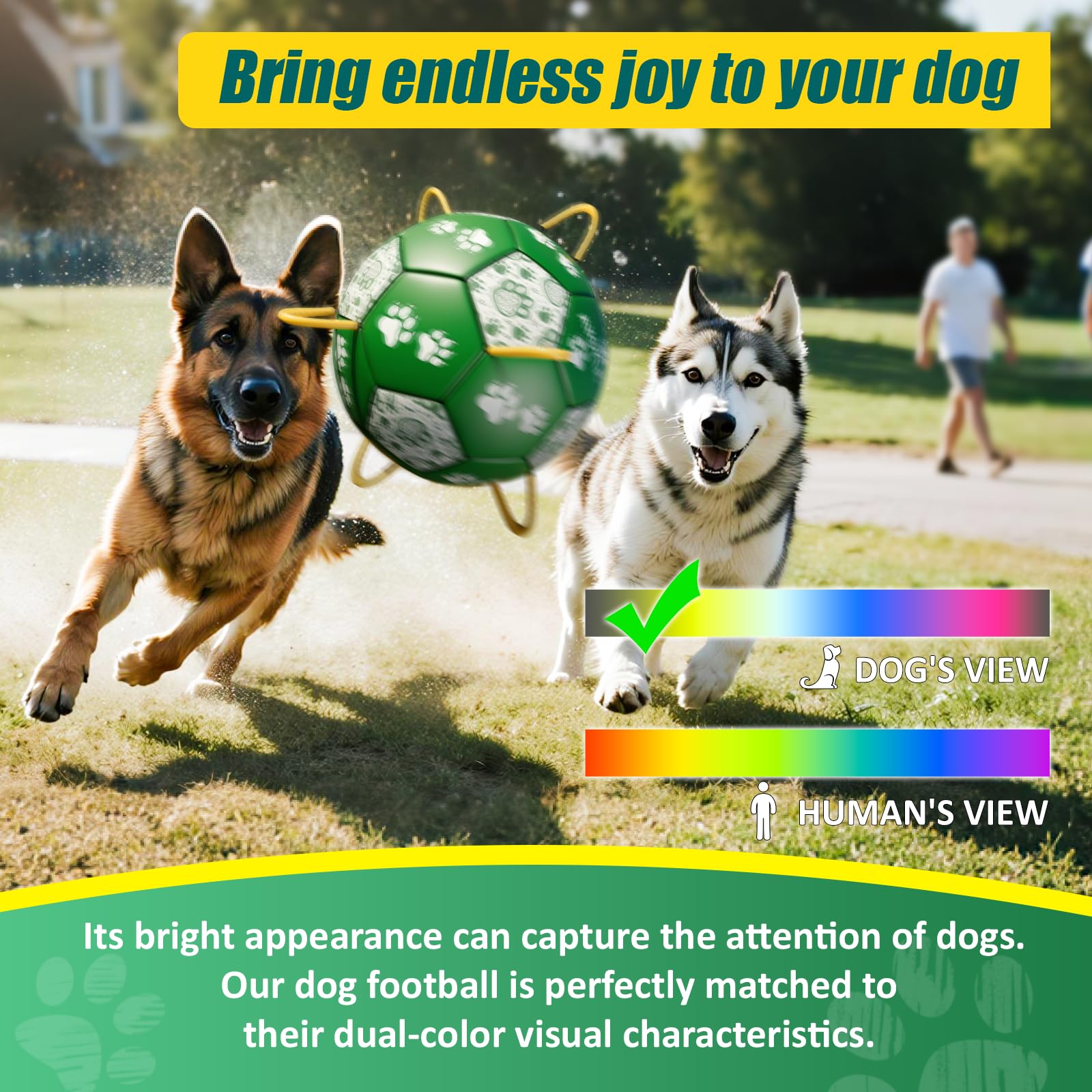 MYOKIA birthday gift dog toy idea a thoughtful celebration for pups