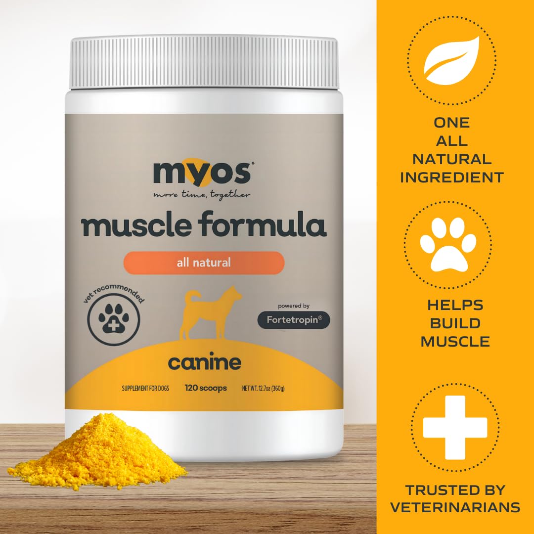 MYOS Canine Muscle Formula dog-paw image emphasizes mobility support for senior dogs.