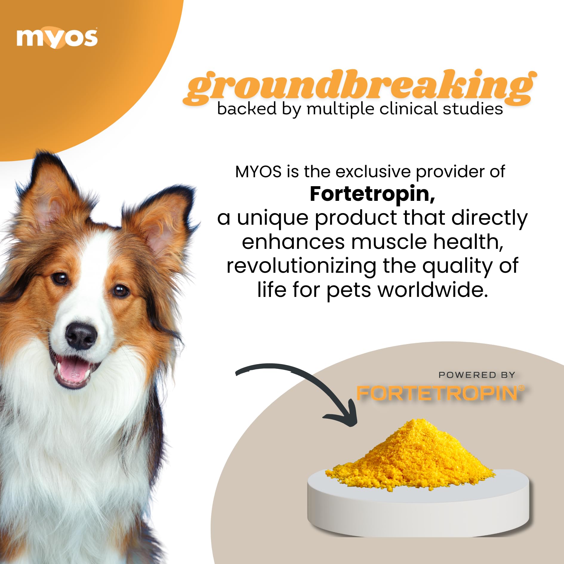 MYOS Canine Muscle Formula dosing spoon showing easy daily serving for convenient use.