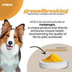 MYOS Canine Muscle Formula dosing spoon showing easy daily serving for convenient use.
