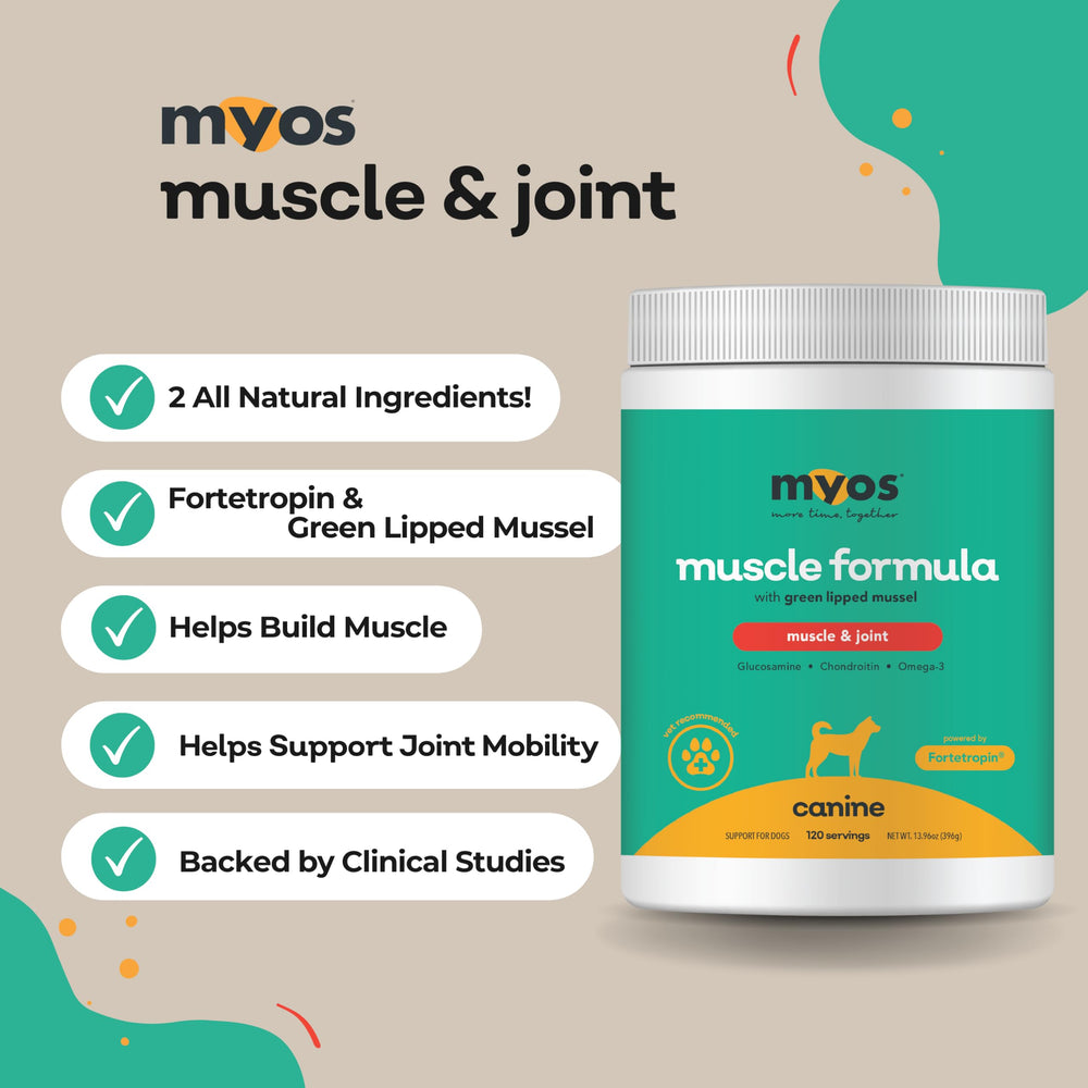 MYOS Canine Muscle Formula Fortetropin bottle close-up suggesting muscle support for active dogs.