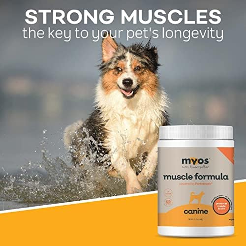 MYOS Fortetropin egg-yolk close-up emphasizes natural muscle maintenance.