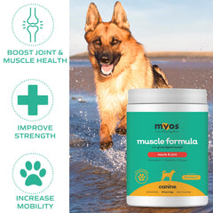 MYOS Canine Muscle Formula glucosamine illustration highlighting mobility and comfort benefits.