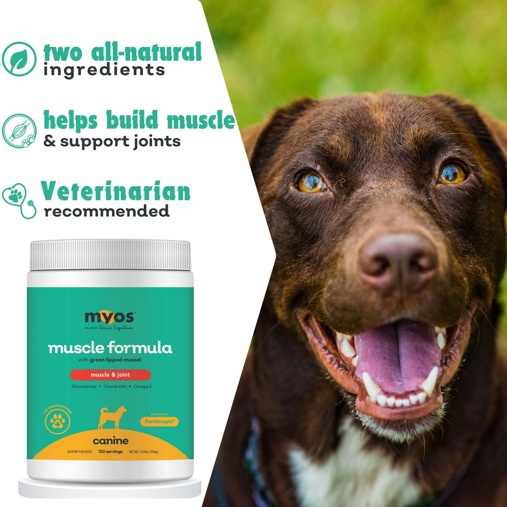 MYOS Canine Muscle Formula gluten-free label on packaging, highlighting safe option.