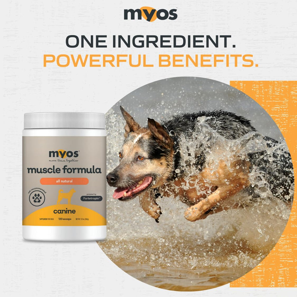 MYOS Canine Muscle Formula manufactured-usa-germany badge highlights global standards.
