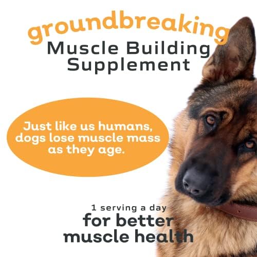 MYOS Canine Muscle Formula mobility-boost image suggests improved daily activity.
