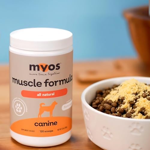 MYOS Canine Muscle Formula recovery-support image hints at post-activity recovery.