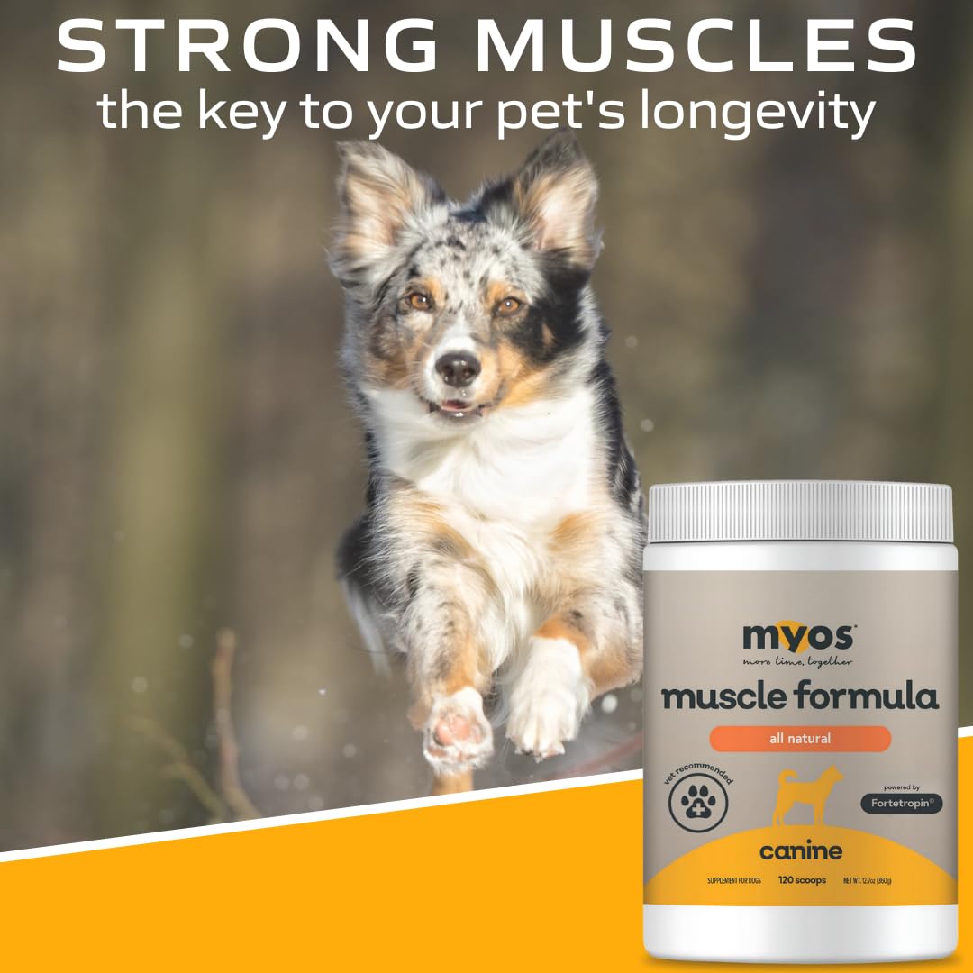 MYOS Canine Muscle Formula serving-dish shows easy daily dosing.