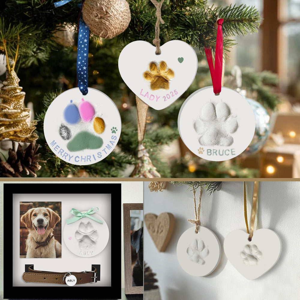 MYPAWLETS easy-step paw print kit with kid-friendly instructions and simple knead-press process.