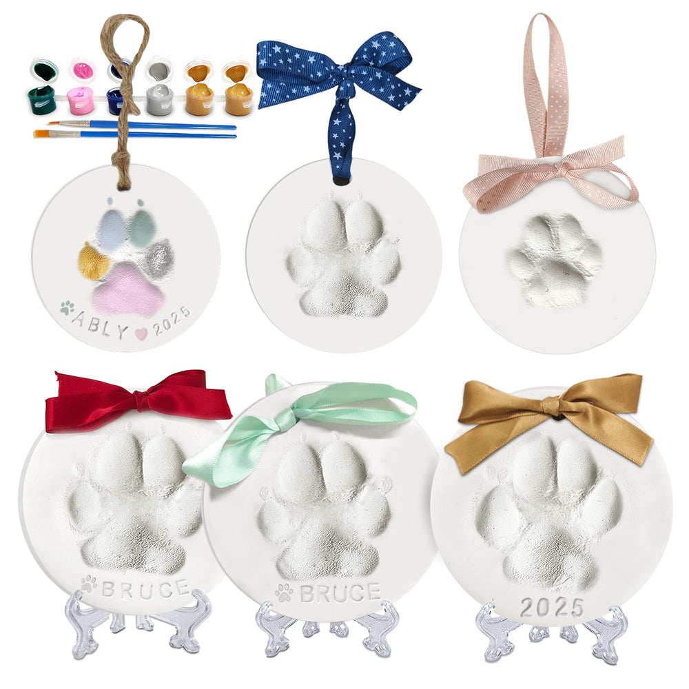 MYPAWLETS pawprints kit setup helps beginners start a simple pet keepsake project.