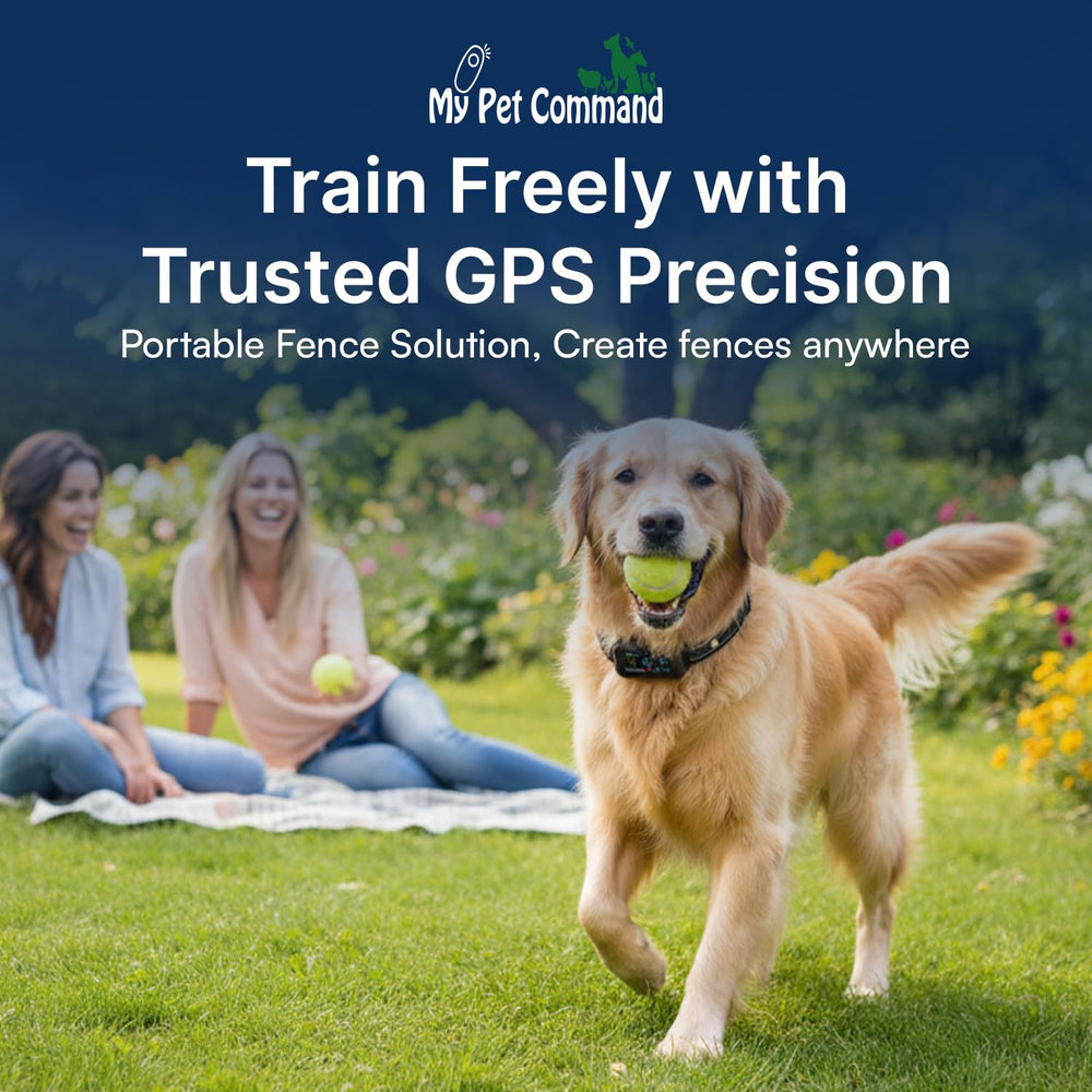 My Pet Command multi-dog memory feature with two-channel remote