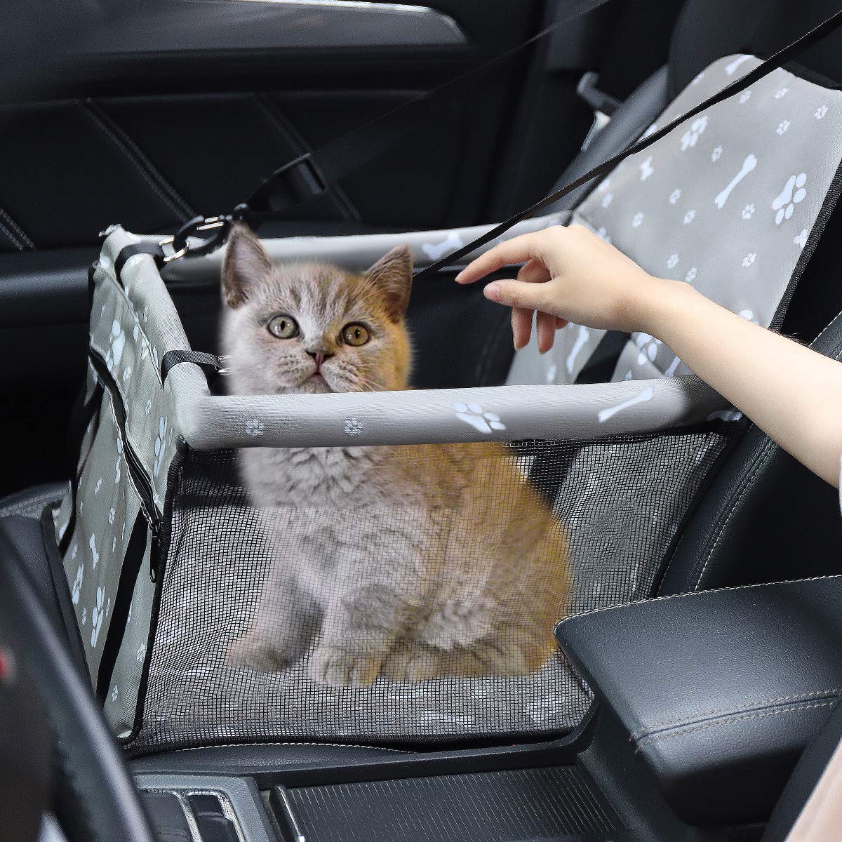 Myuilor dog car seat view showcases a secure, comfortable travel perch.