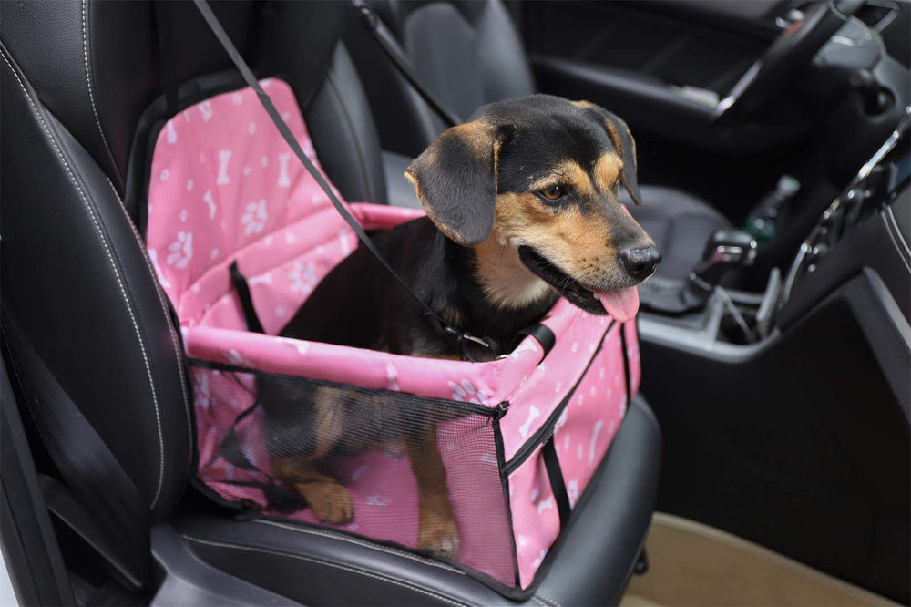 Myuilor Upward-View Benefit lets pets observe scenery, reducing travel stress.