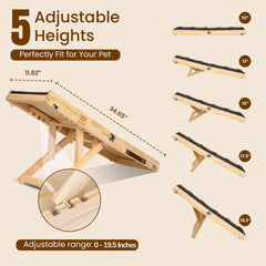 MYUNIK adjustable-height dog ramp showing five height options for beds, couches, and cars.