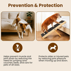 MYUNIK non-slip carpet surface provides secure footing during climbs.