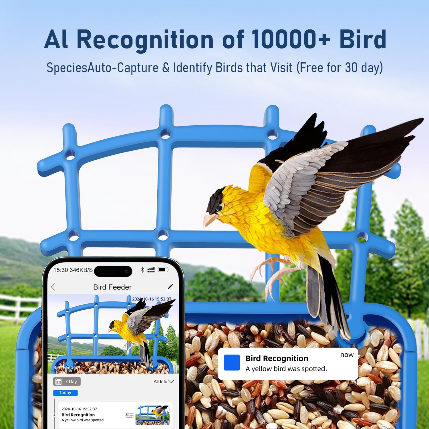MZniros AI species identification showcases real-time bird recognition.