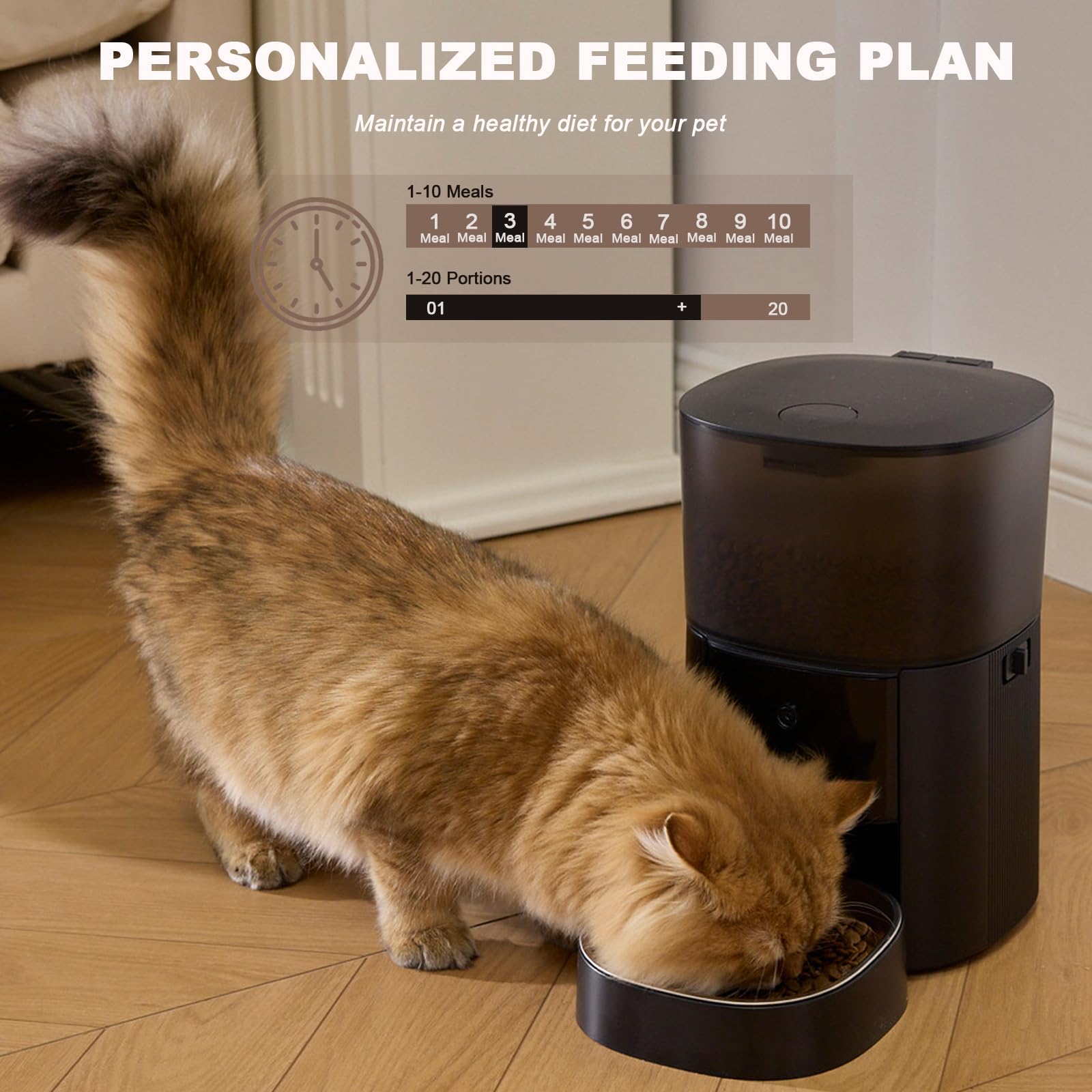 MZZ moisture-proof dry box helps keep kibble fresh and crunchy.