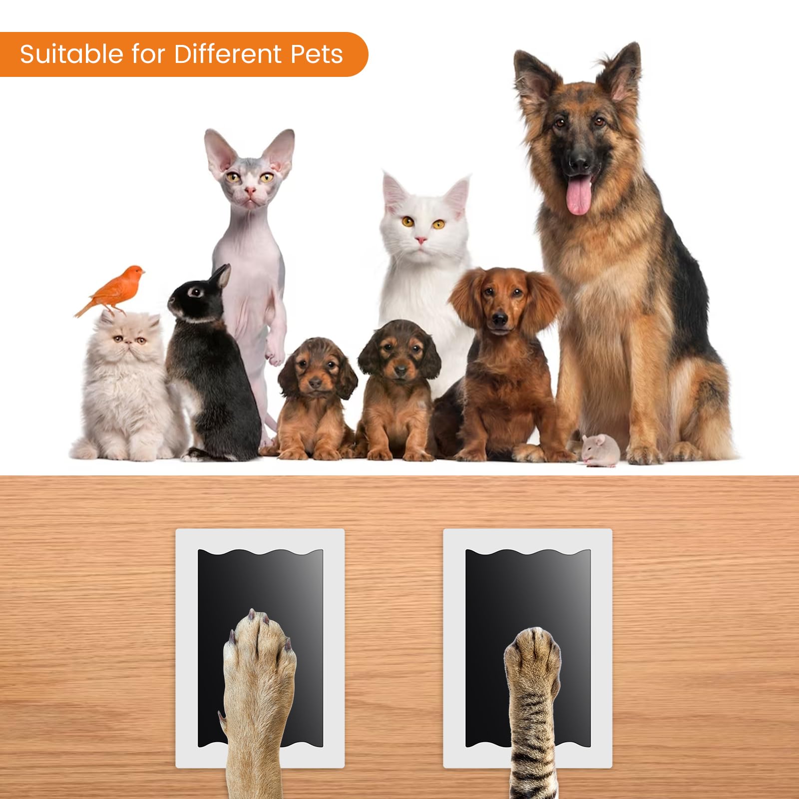 Nabance dog nose print visuals for a complete keepsake