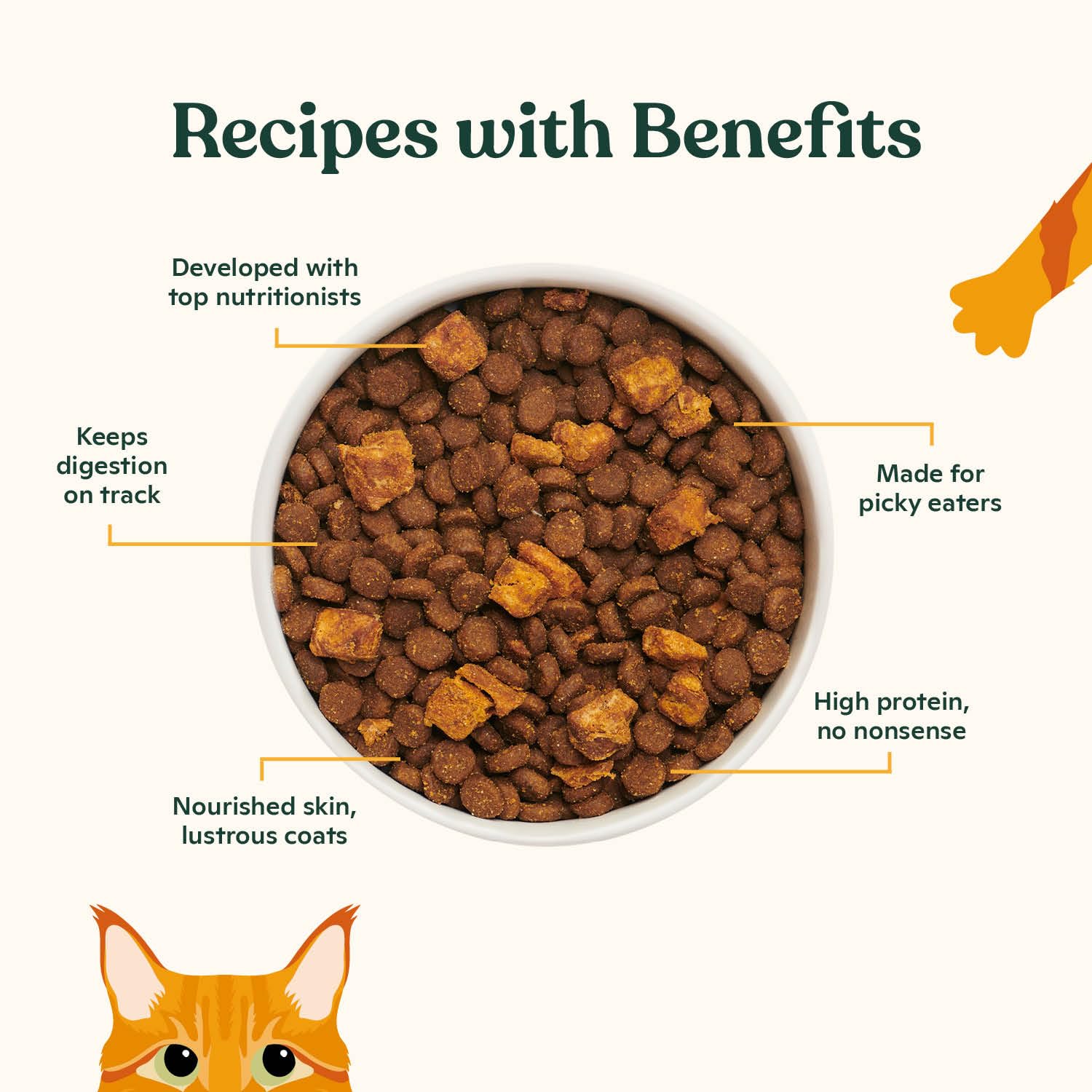 Made by Nacho dry cat kibble highlights cage-free chicken as the top ingredient for lean muscle.