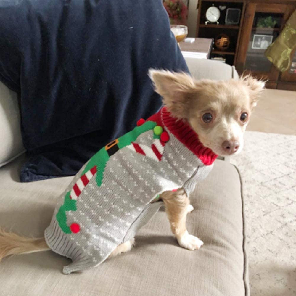 NACOCO dog sweater with clown pattern highlights playful holiday style for parties