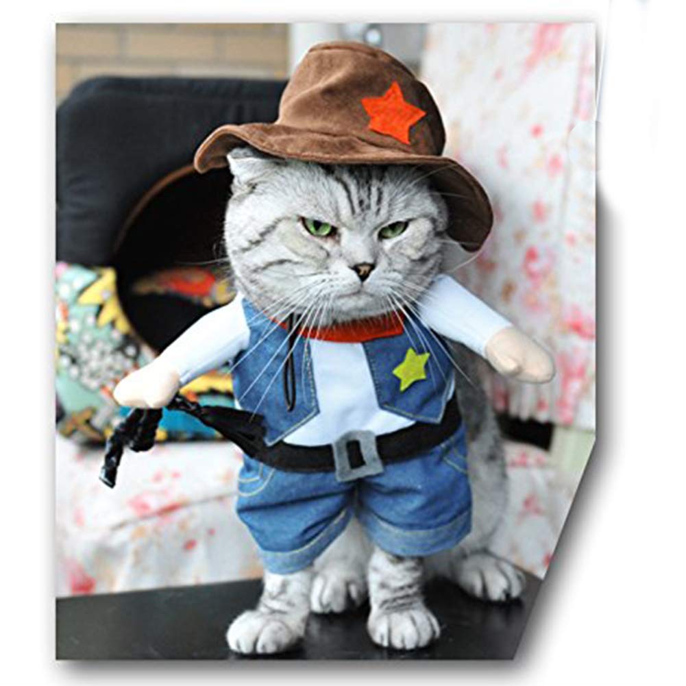 NACOCO Cowboy Dog Costume back view — durable fabric and cute detail.