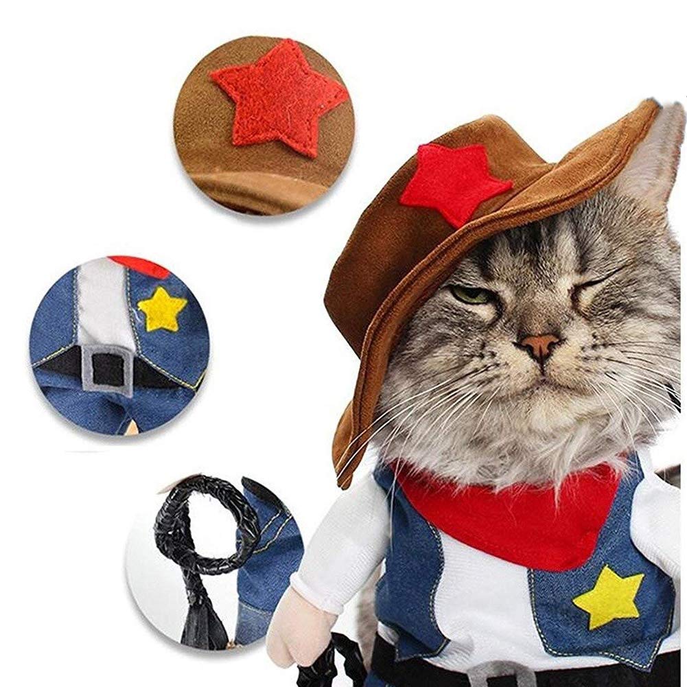 NACOCO Cowboy Dog Costume front view — eye-catching ensemble for events.