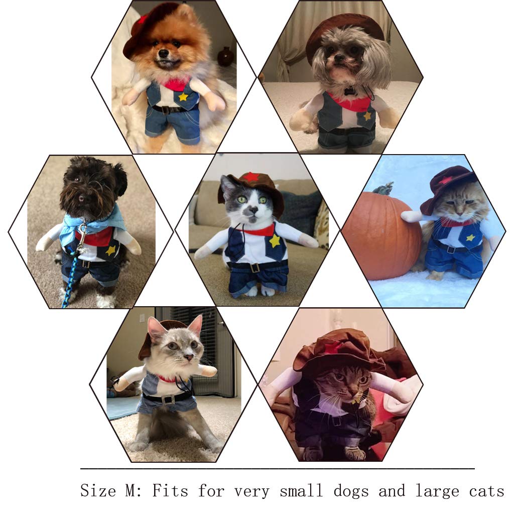 NACOCO Cowboy Dog Costume party scene — ideal for holidays and festive celebrations.