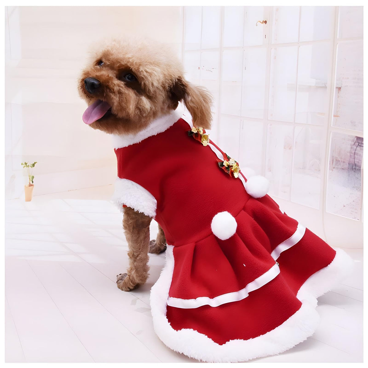 NACOCO dog Christmas dress red skirt front view for festive holiday photos
