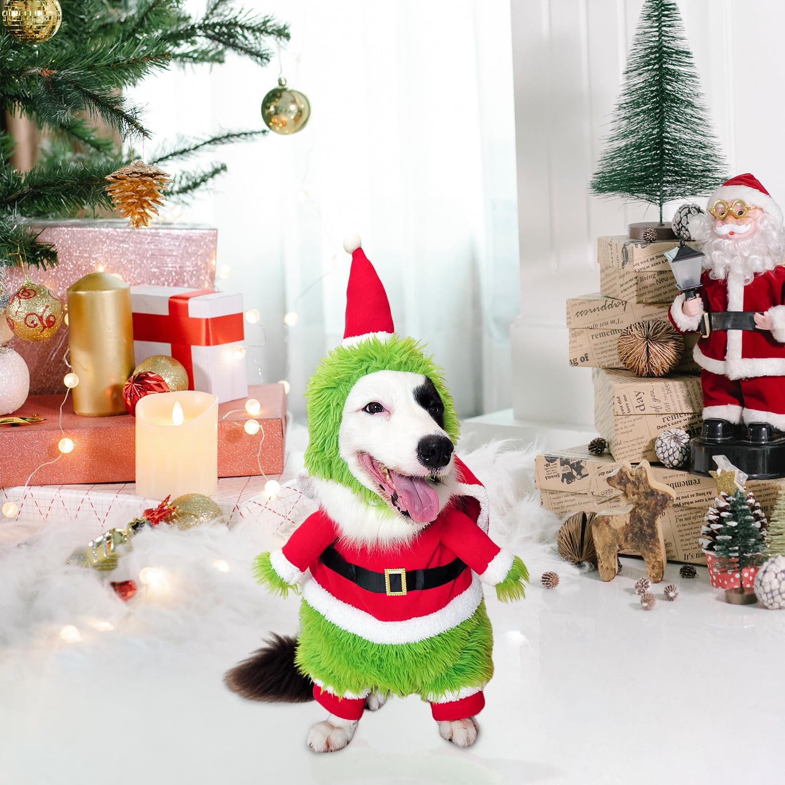 NACOCO dog costume in green monster theme ideal for family photo ops