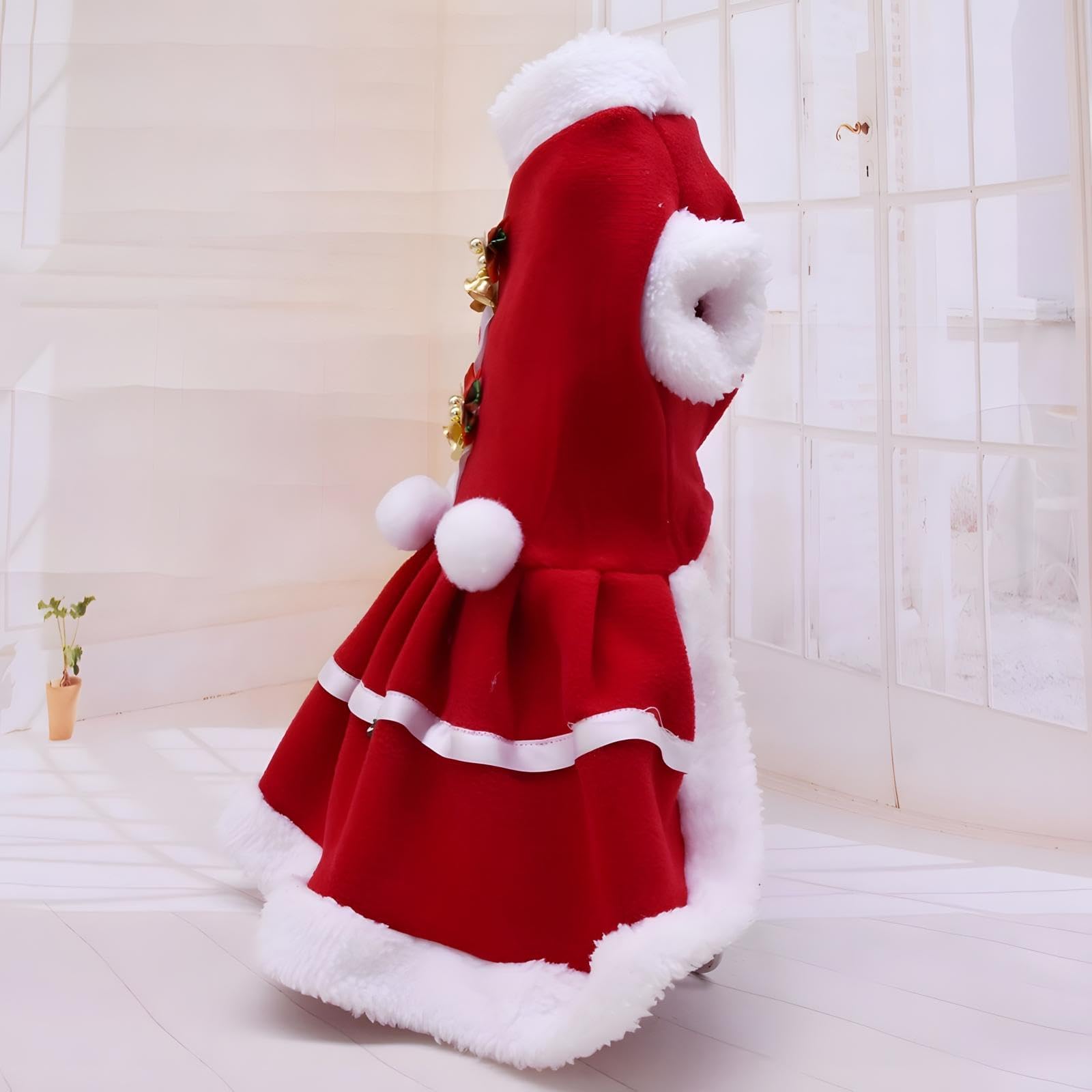 NACOCO dog wearing outfit outdoors in a holiday setting
