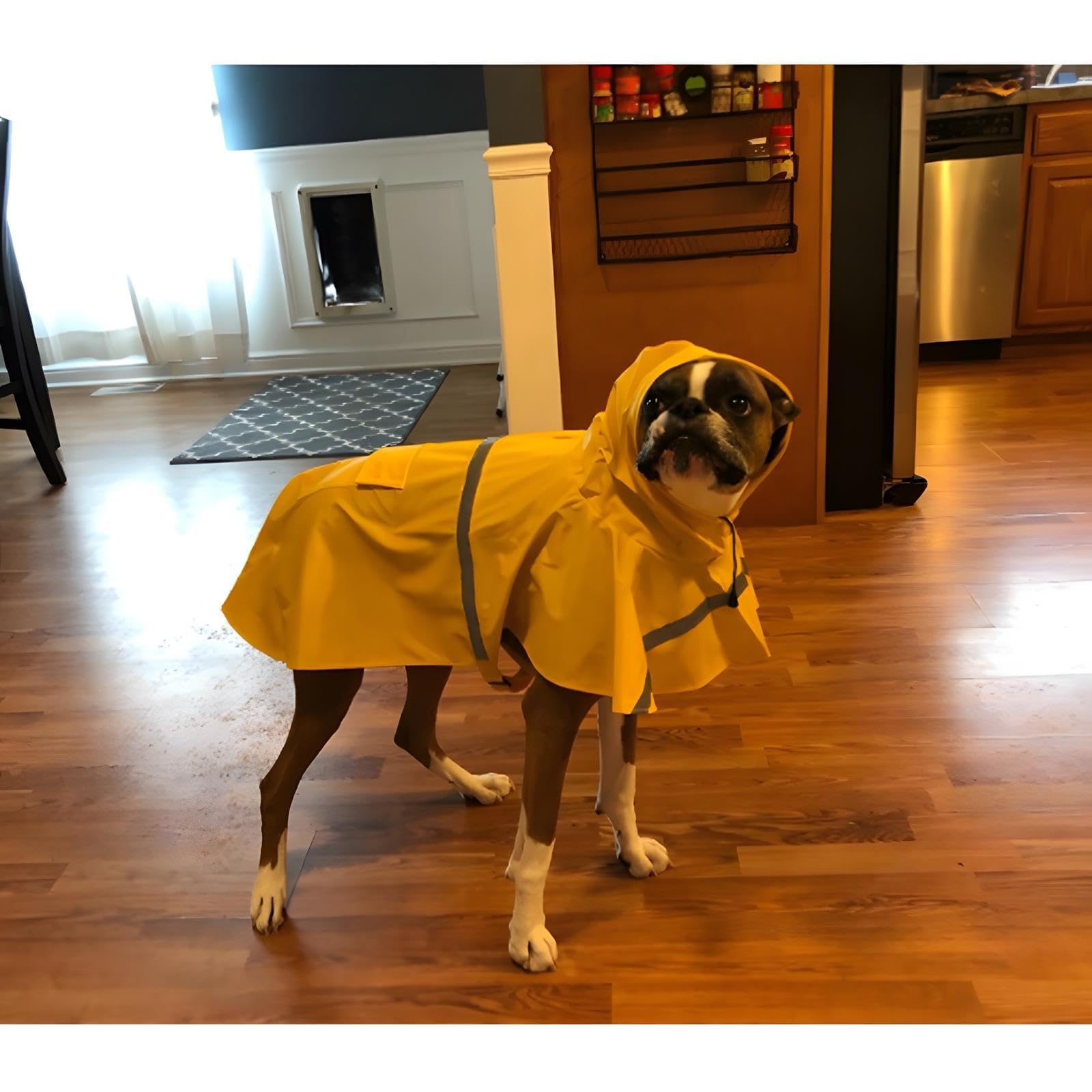NACOCO raincoat reflective back in yellow boosts nighttime visibility for safety.