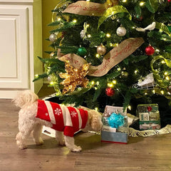 NACOCO Dog Snow Sweater worn by pet demonstrates easy fit