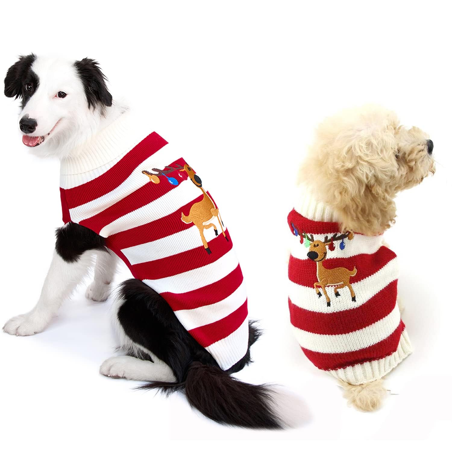 NACOCO dog sweater worn on a dog—comfortable fit for chilly seasons.