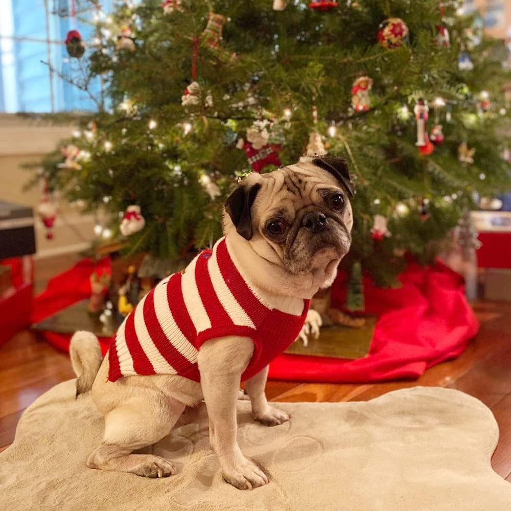 NACOCO dog sweater uses soft acrylic fabric for warmth and comfort.