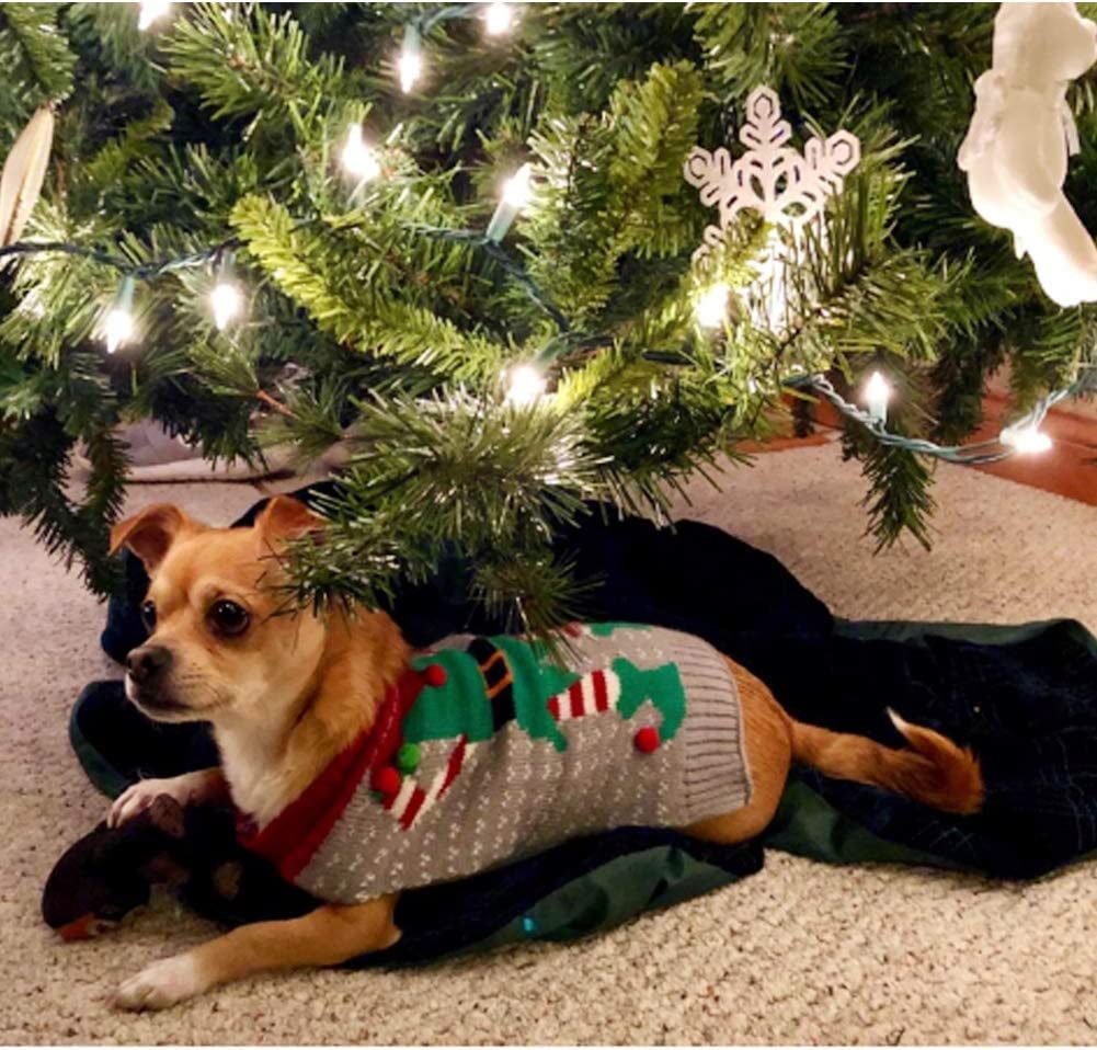 NACOCO easy-on-off pet sweater shown for quick dressing and comfort