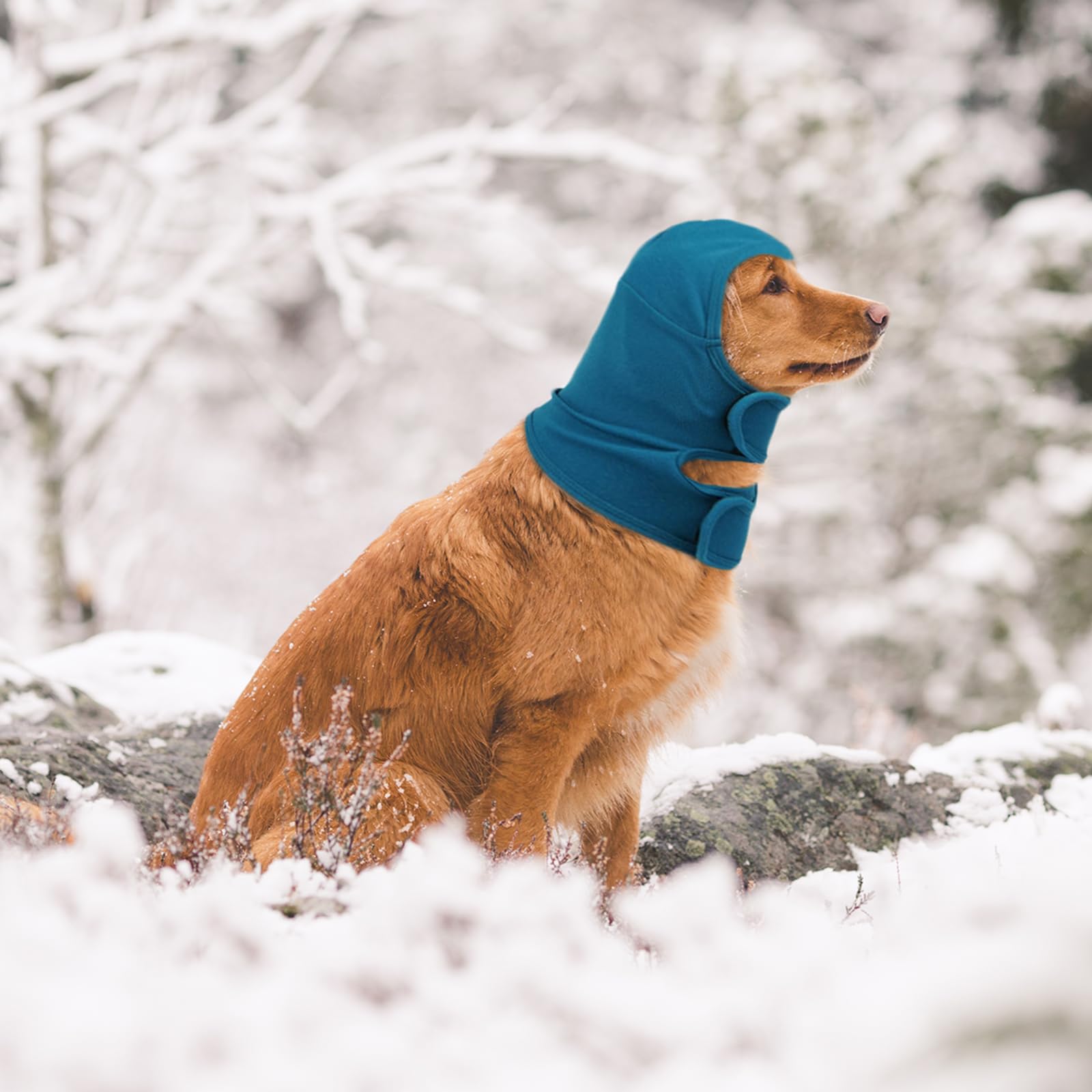 NACOCO machine-washable hoodie for easy cleaning in dark blue