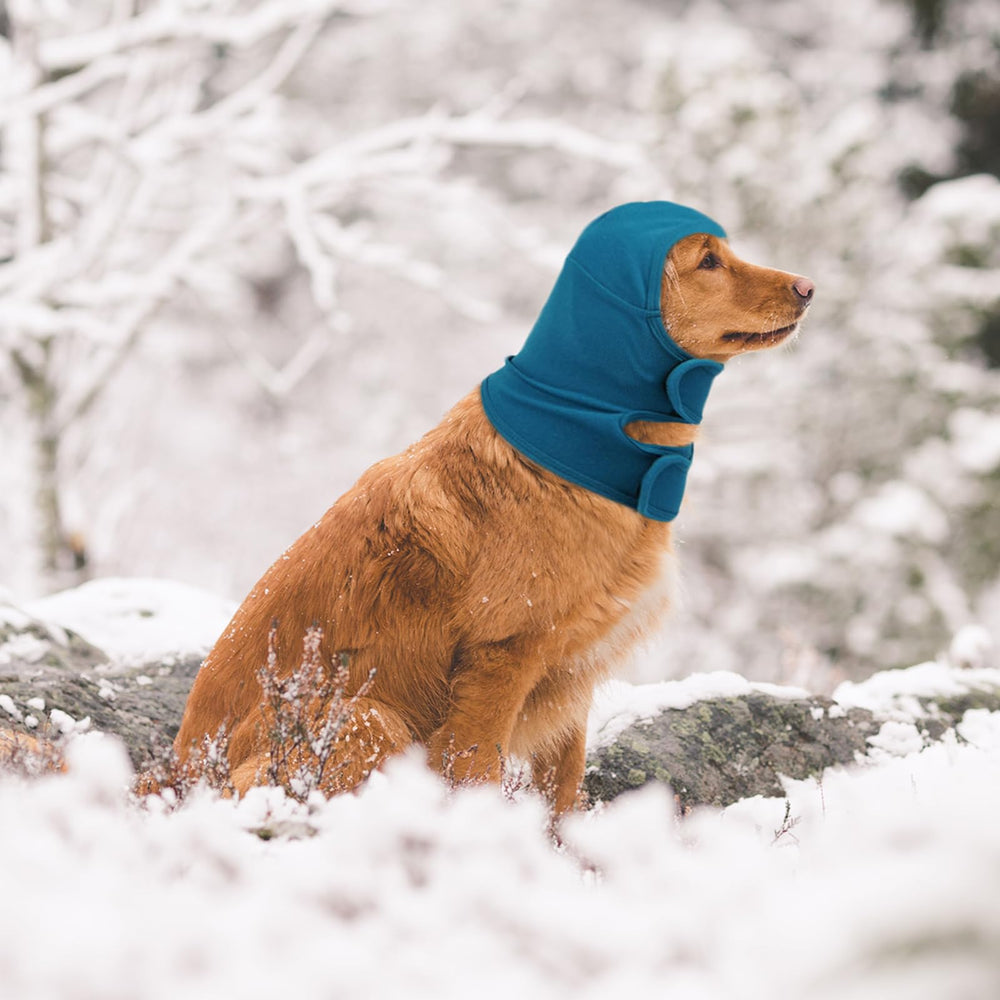 NACOCO machine-washable hoodie for easy cleaning in dark blue