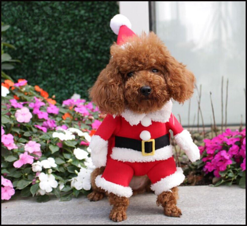 NACOCO Santa dog costume back view for complete look