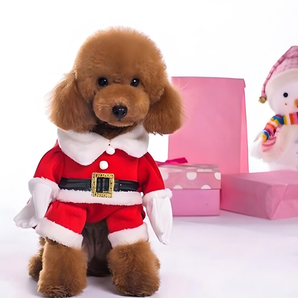 NACOCO red Santa costume for dogs size M mid-sized pets