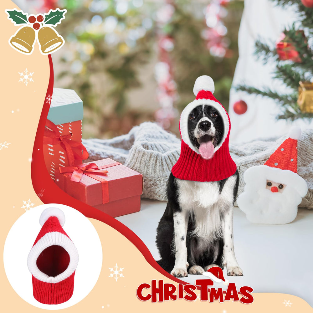 NACOCO winter ensemble image showcases coordinated pet and owner look.