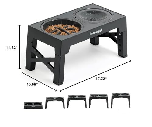 NAHANGPET 1-year warranty offers dependable support for this bowl set.