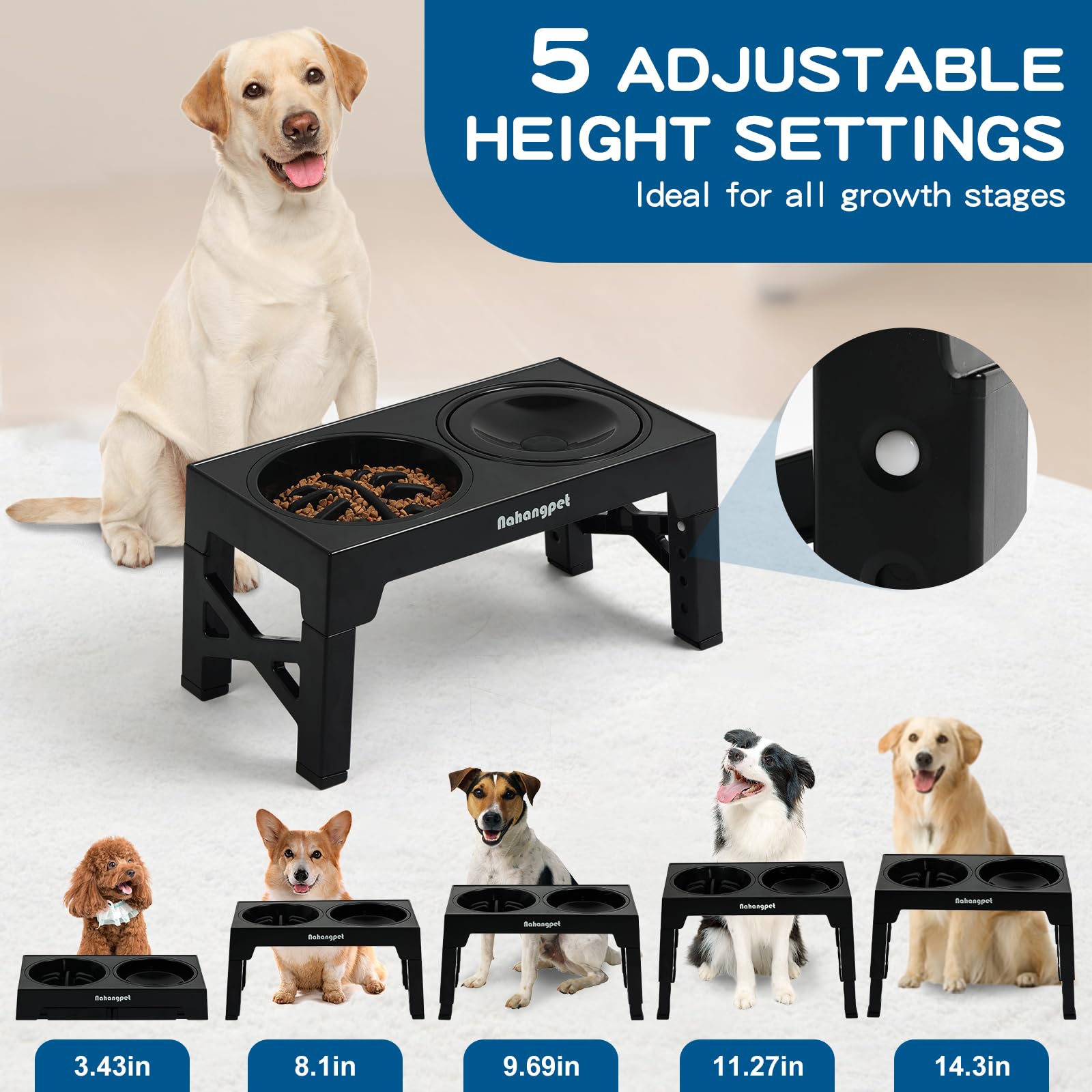 NAHANGPET elevated bowls with height adjustments demonstrate tailoring meals for growing or senior dogs.