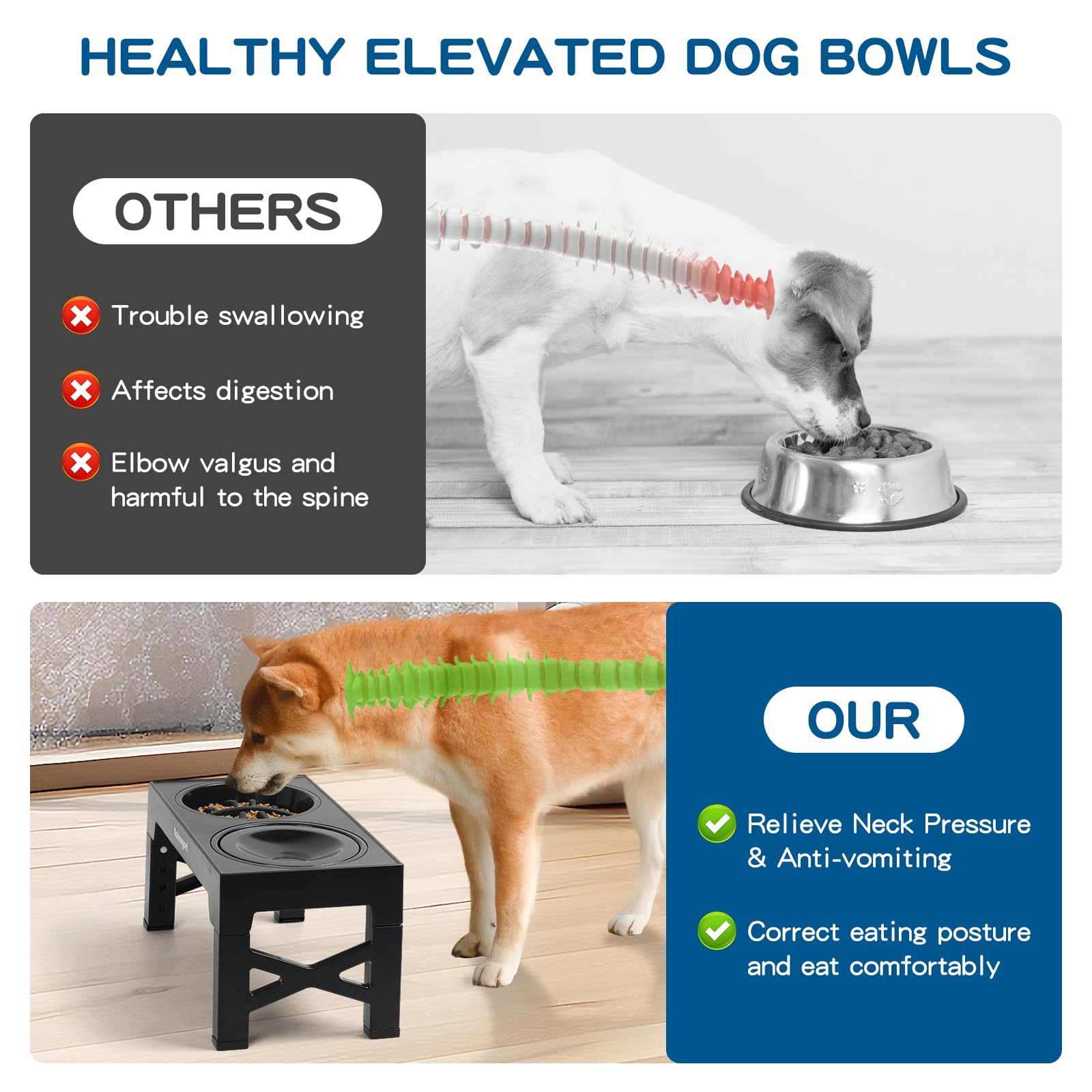 NAHANGPET height options display shows the five height settings for versatile feeding postures.