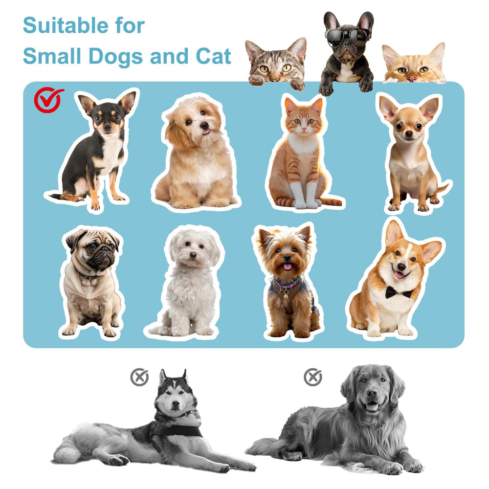 NAILDOKI Movable Structure Pet Stairs cat dog chair with ramp for comfy lounging