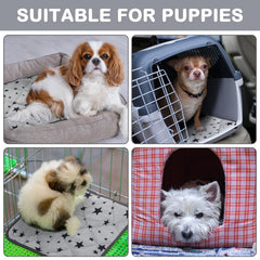 Namalu self-warming mat inside kennel for travel comfort