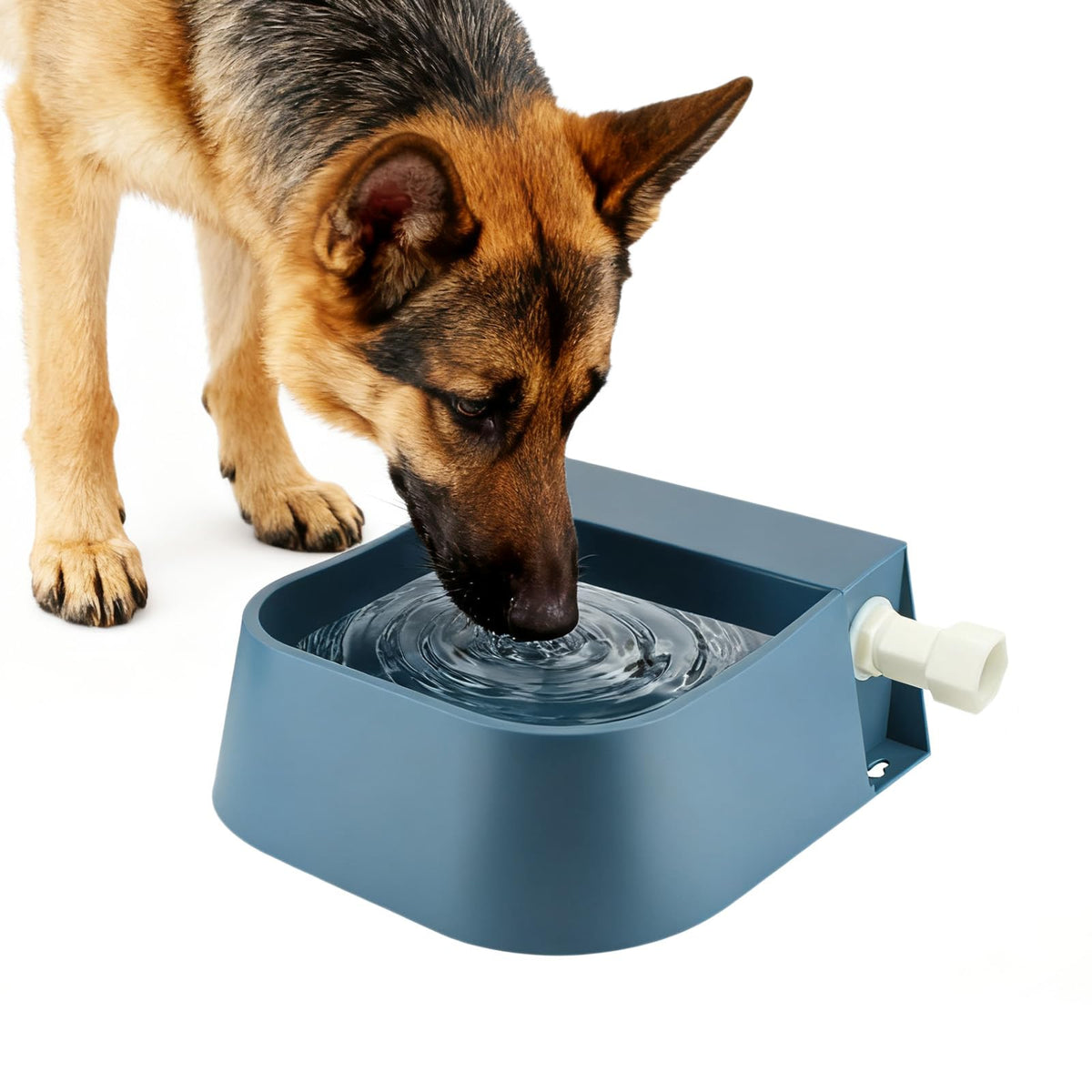 NAMSAN automatic dog water-dispenser front view for outdoor hydration