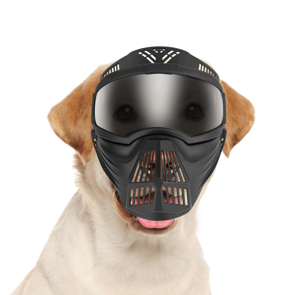 NAMSAN basket-muzzle dog goggles front view with full-face shield for outdoor protection.