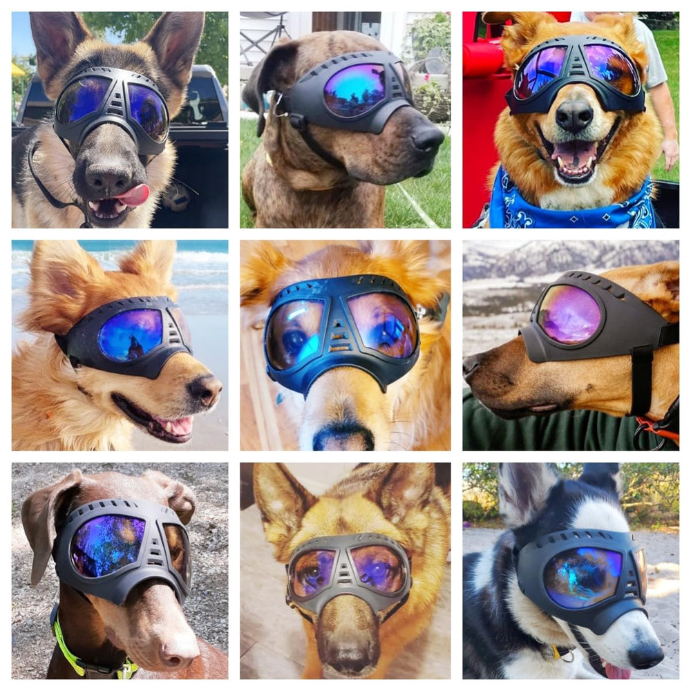 NAMSAN Clear Dog Goggles on dog head strap adjustment for secure fit